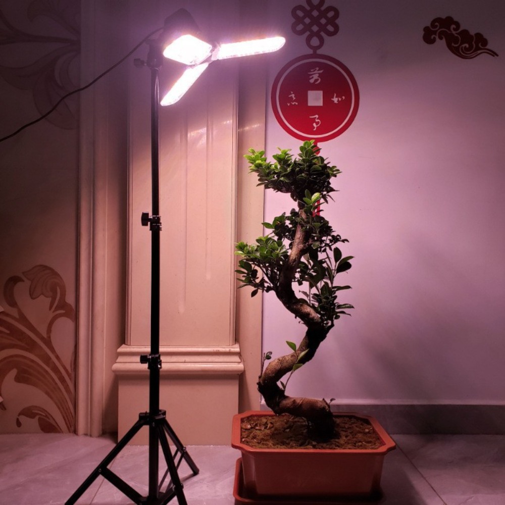 ขาตั้งหลอดไฟ 2 เมตร, ขั้วหลอดไ - Photography Lighting With Umbrella บทวิจารณ์และราคา